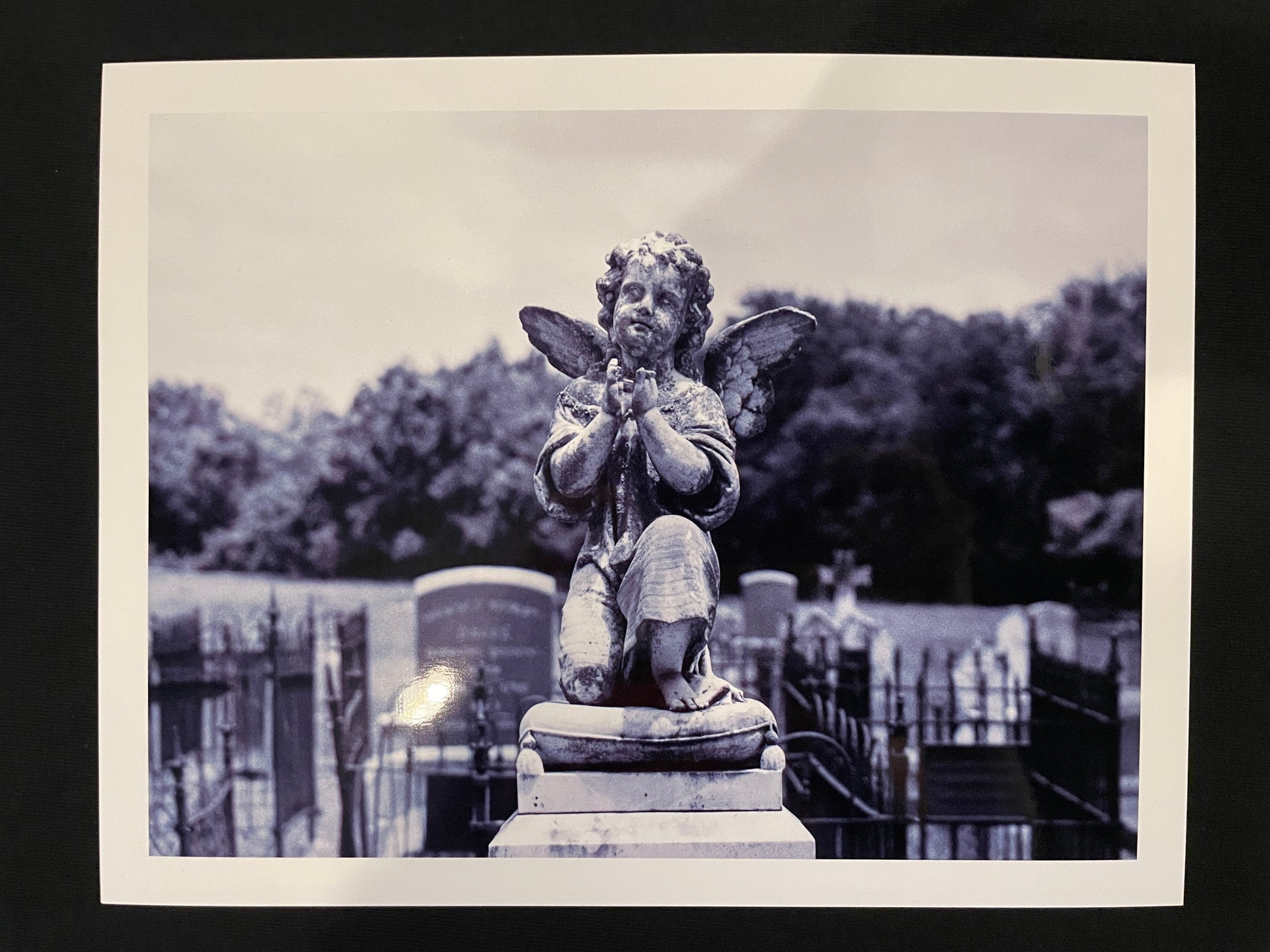 Cemetery Cherub - Photo Print