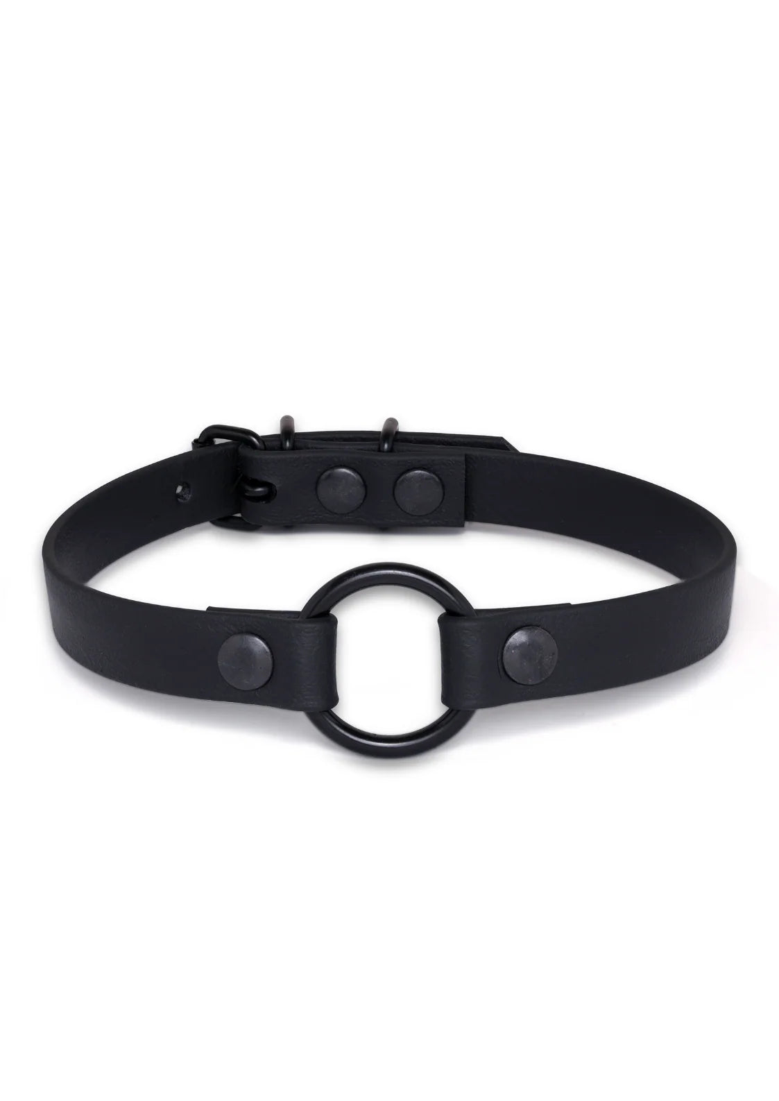 Black Hardware O-Ring Choker