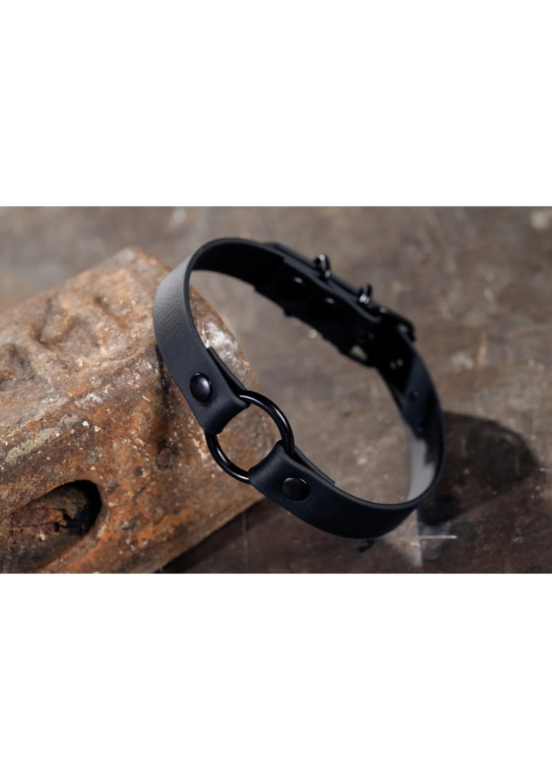 Black Hardware O-Ring Choker