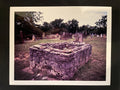 Cemetery Plot - Photo Print