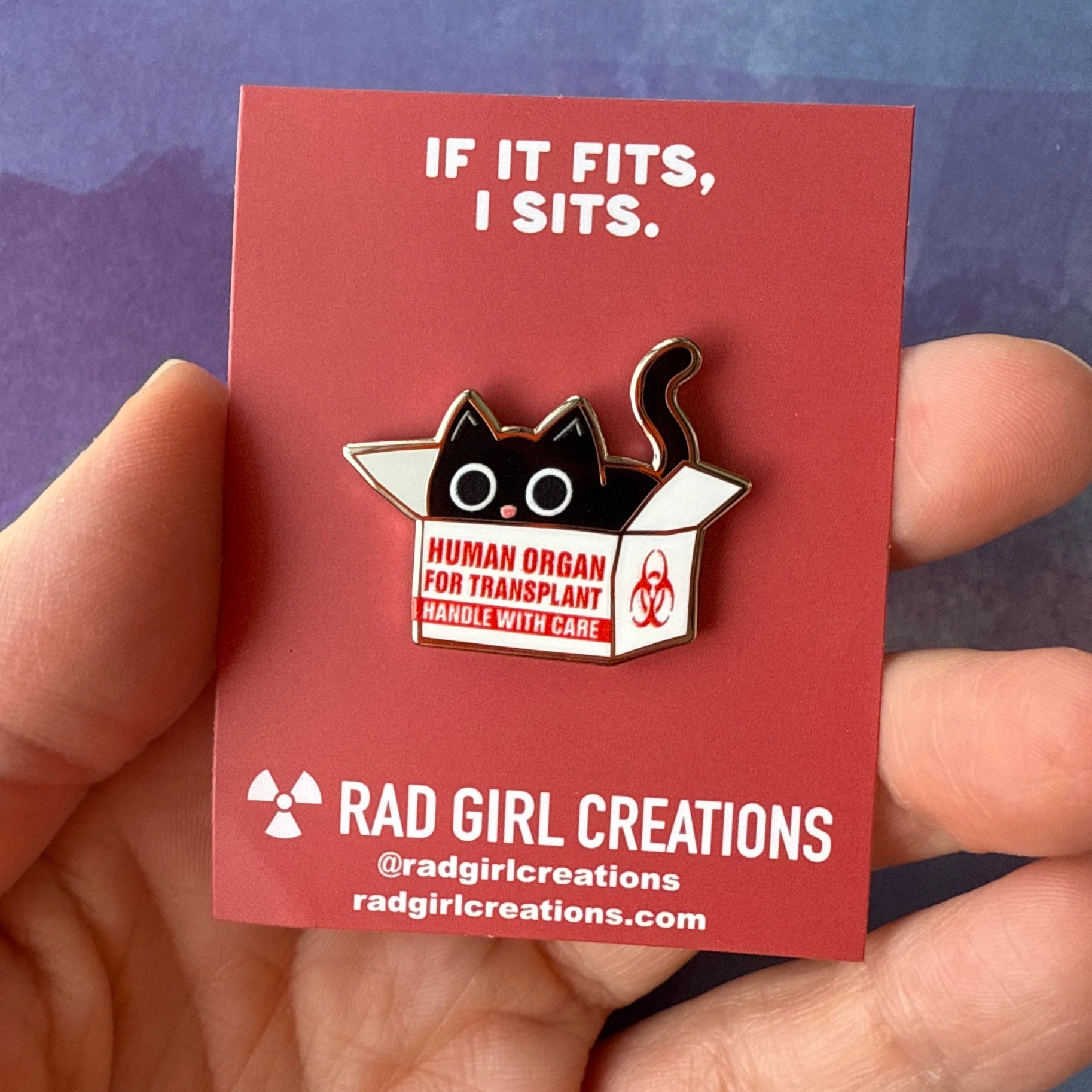If It Fits I Sits Kitty Enamel Pin