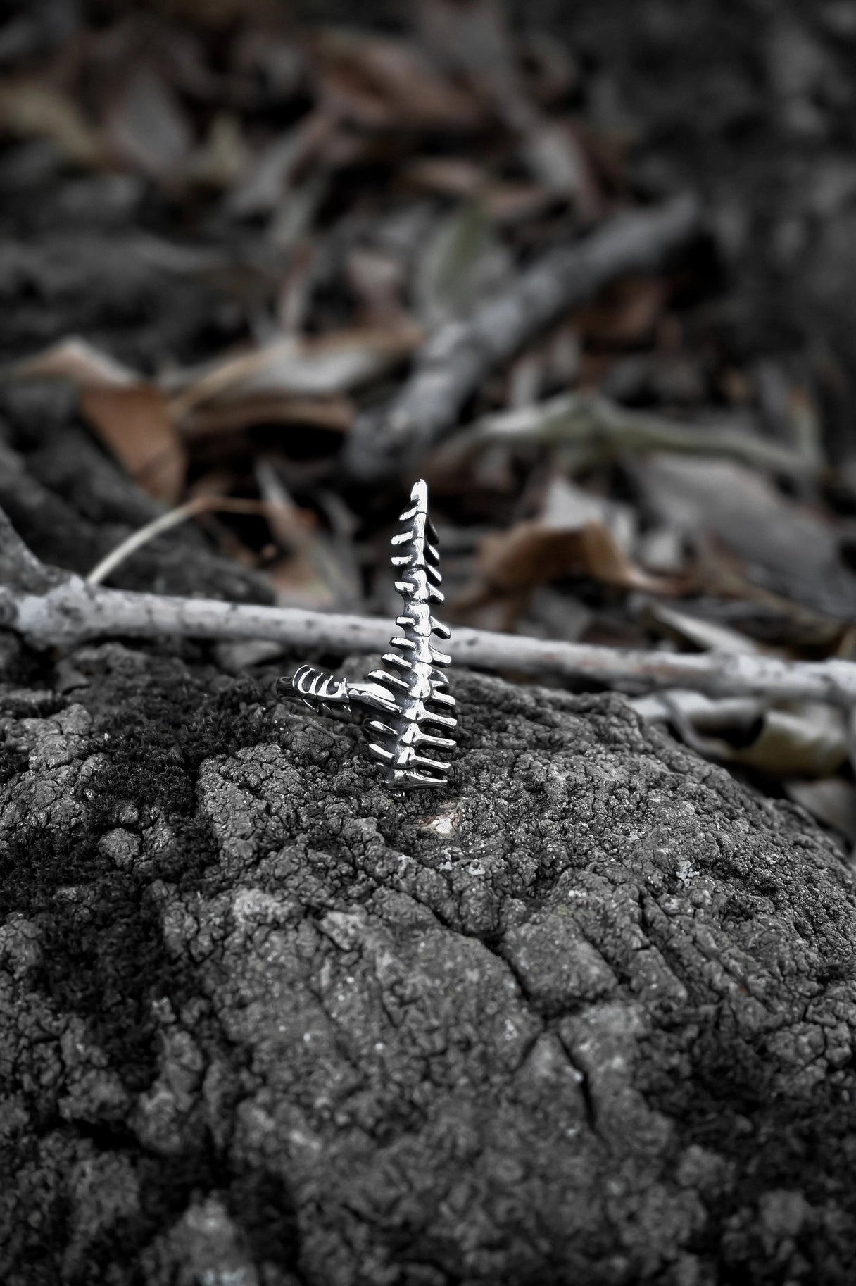 Vertebrae Ring