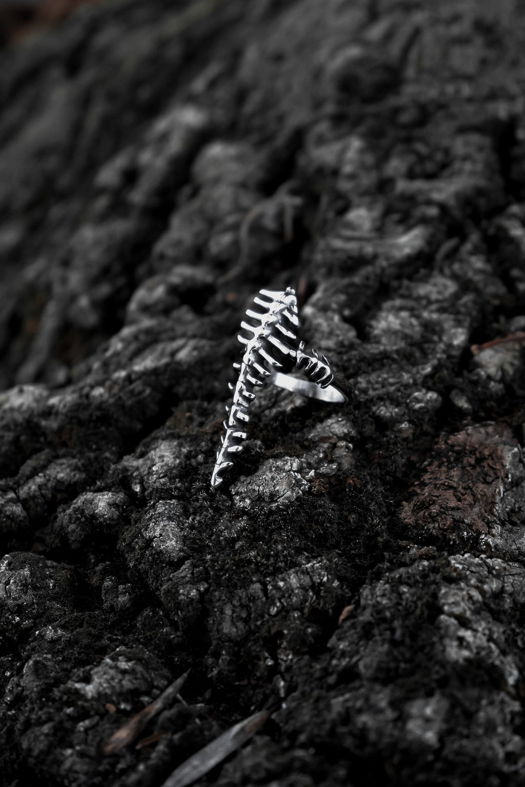 Vertebrae Ring