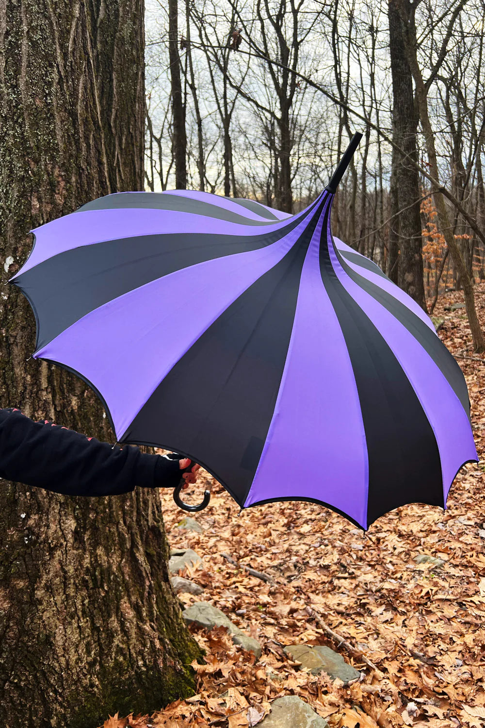 Batwing Pagoda Umbrella - Black/Purple Striped