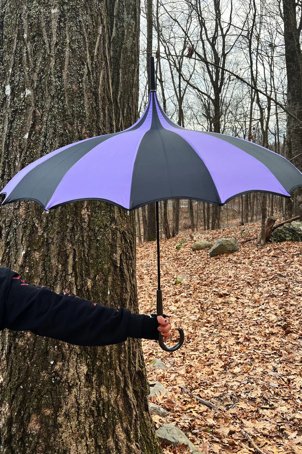 Batwing Pagoda Umbrella - Black/Purple Striped